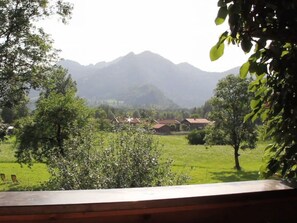 View from property - Holiday Apartment Waxenstein (Lenggries)