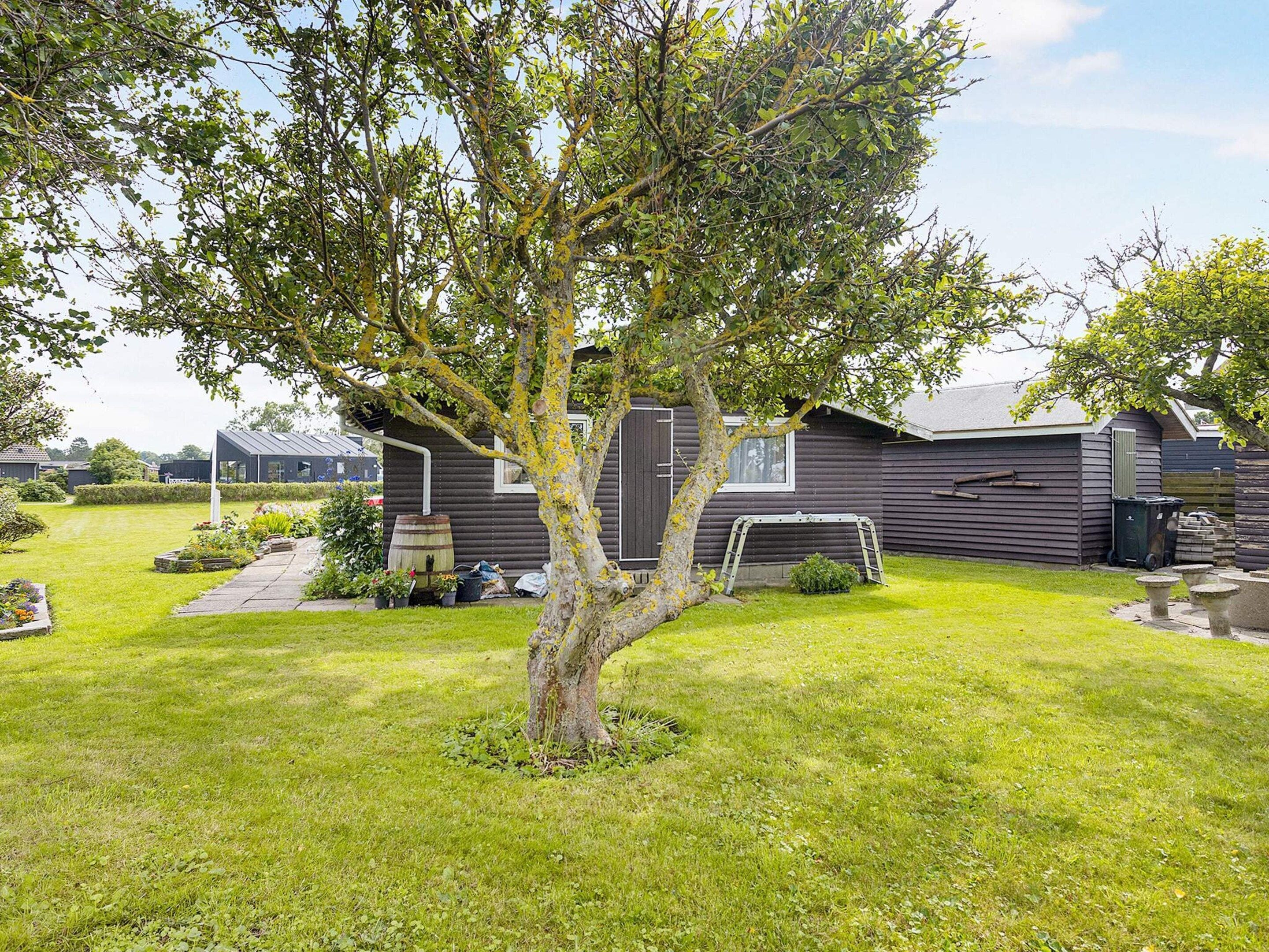 A residential property with a well-maintained lawn, a tree, and a house with a dark exterior.