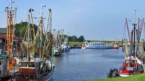 A marina with several boats docked, including a prominent boat named "GREENSEY". - Swanenhuus Modern Retreat (Krummhoern)