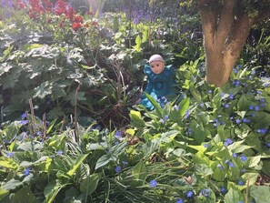 Exterior - Swanenhuus Modern Retreat (Krummhoern)