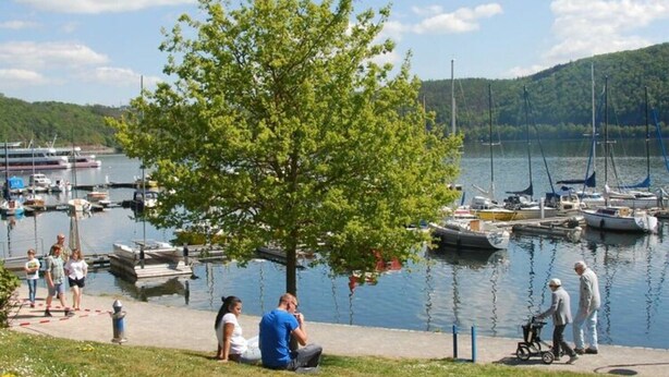 A lakeside park with a tree, people walking, and boats docked at a marina. - Holiday Home Naturally Good (Voehl)