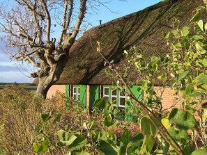 House | Exterior - Thatched Roof House Kehl (Hillgroven)