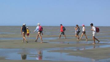 2 bedrooms, individually furnished