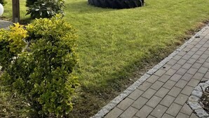 Uma área externa gramada com balanço e um pneus para balançar. Casas ao fundo.