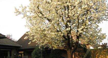 Holiday Home Haus Mewa