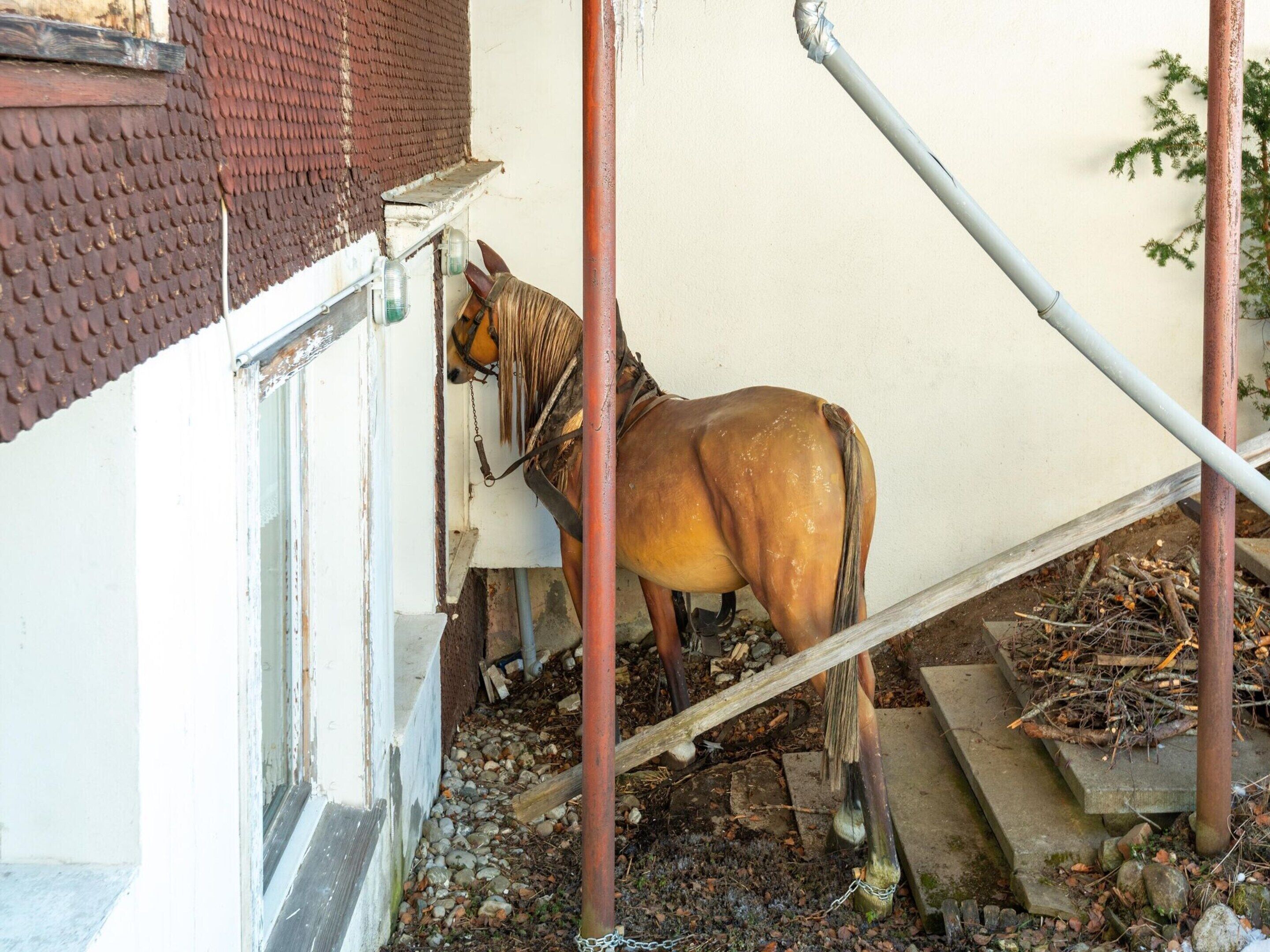 A horse tethered to a building with a metal gate and steps leading up to a porch.
