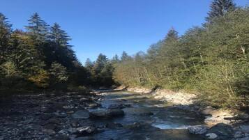 A river flowing through a forested area with rocks and trees.