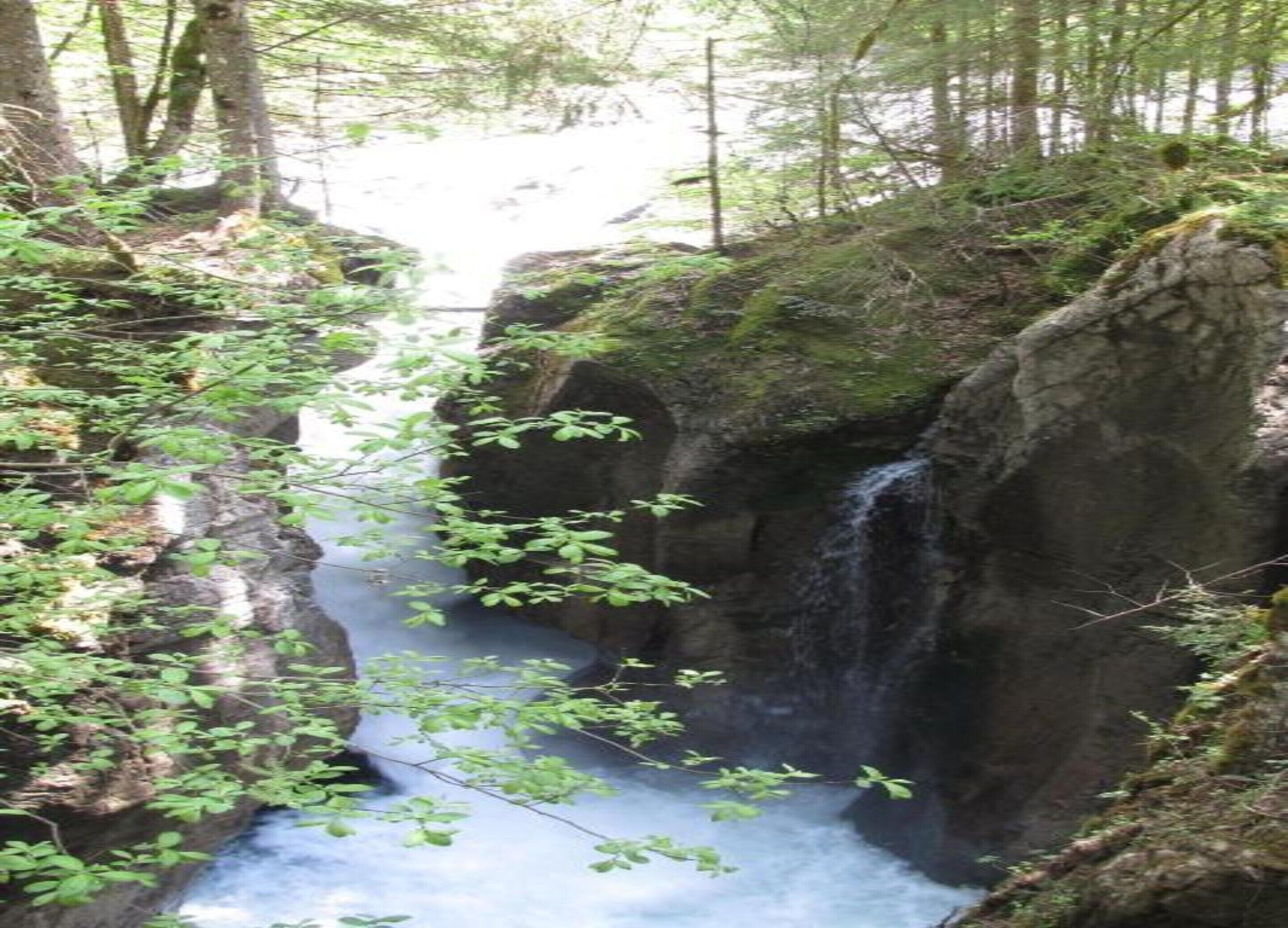 A waterfall in a forested area with rocky terrain and dense foliage.