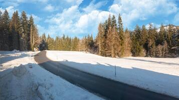 Una strada innevata con cielo sereno e alberi sempreverdi.