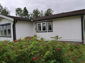 A single-story building with a tiled roof, a window with a black frame, and a garden with rose bushes in the foreground. - 6 Person Holiday Home in Sunne (Sunne)
