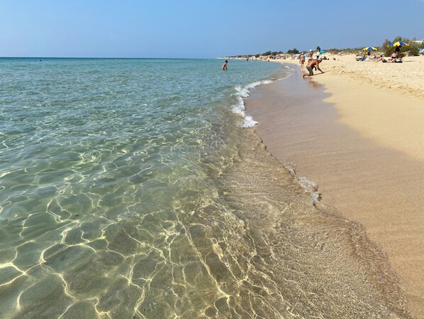 Camastros y toallas de playa