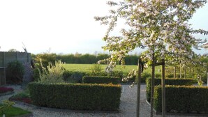 Eksteriør
