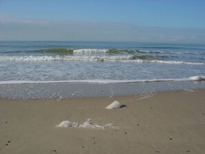 Beach - Schelphoekje Modern Retreat (Aagtekerke)