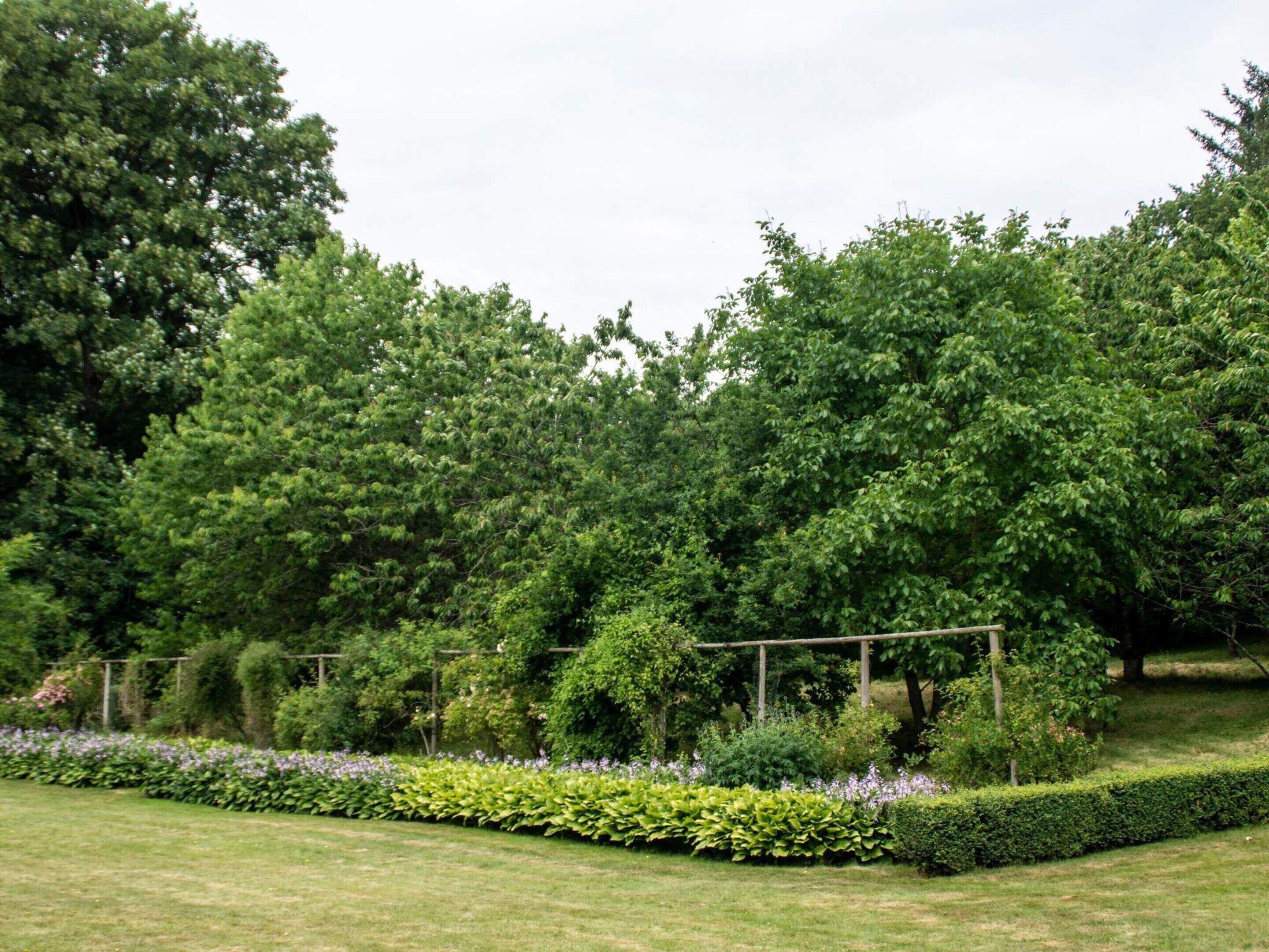 House | Property grounds