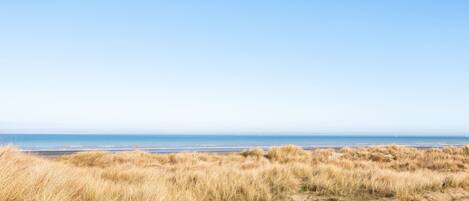 Leilighet | Utsikt fra overnattingsstedet