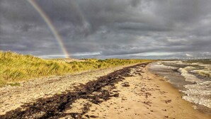 Une plage où l’on peut voir un arc-en-ciel, avec un rivage sablonneux et des algues.