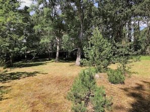 A wooded area with a cabin and a small clearing. - 4 Person Holiday Home in Rodby (Rodby)