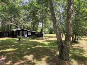 A small, single-story house with a porch, surrounded by a grassy yard and tall trees. - 4 Person Holiday Home in Rodby (Rodby)