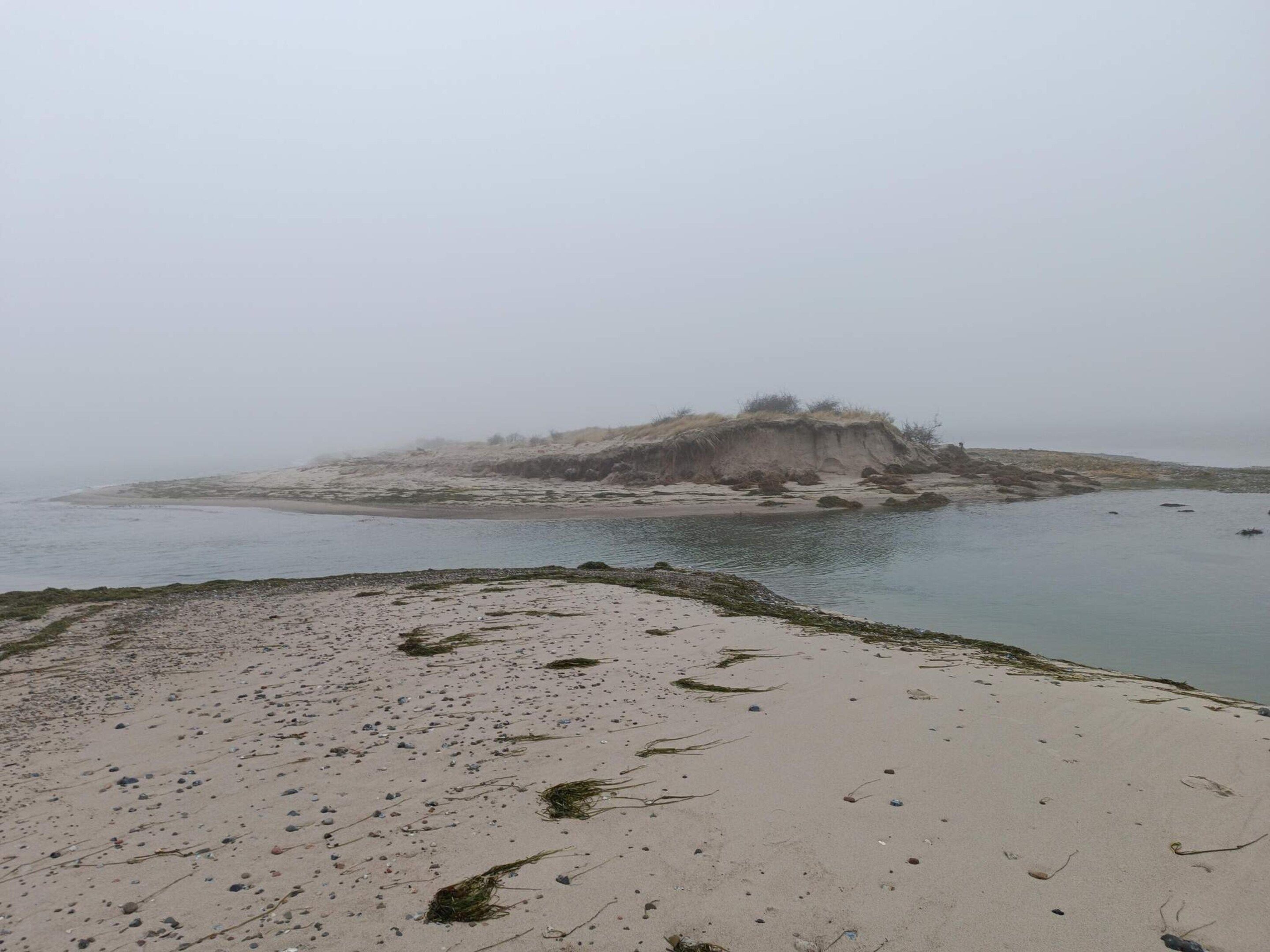 Une plage de sable, avec des algues et des rochers.