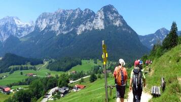 Rumah | 1 kamar tidur dan dilengkapi dengan perabotan berbeda-beda