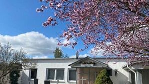 Una casa de dos pisos con un patio, un pequeño jardín y un árbol de flores rosadas.