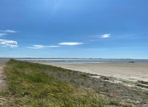 House | View from property - House in Scherpenisse Near Oosterschelde (Scherpenisse)
