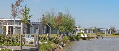 House | Property grounds