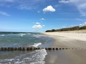On the beach - Holiday Home \"on the Beach\" (Zingst)
