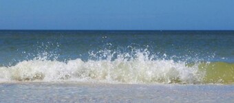 2 Bedroom Waterfront Pool Side!