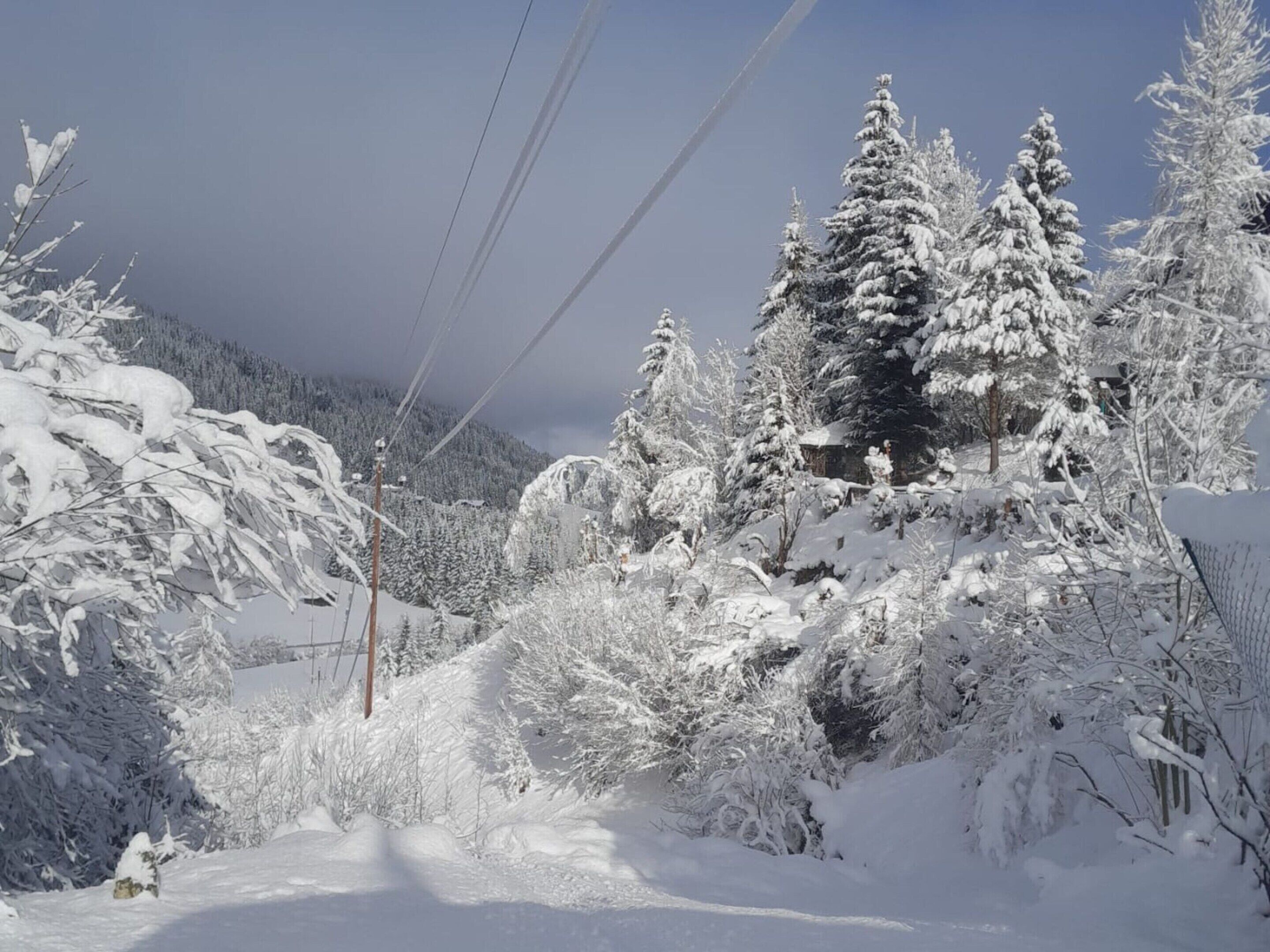 Schneeverdeckte Landschaft mit Bäumen und einem Gebäude.