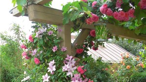 A garden with a pergola structure supporting climbing plants with pink and white flowers. - Lovely Apartment in Oberammergau (Oberammergau)
