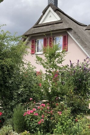 Exterior - Lady and the Tramp Comfortable Vacation Home (Zierow)