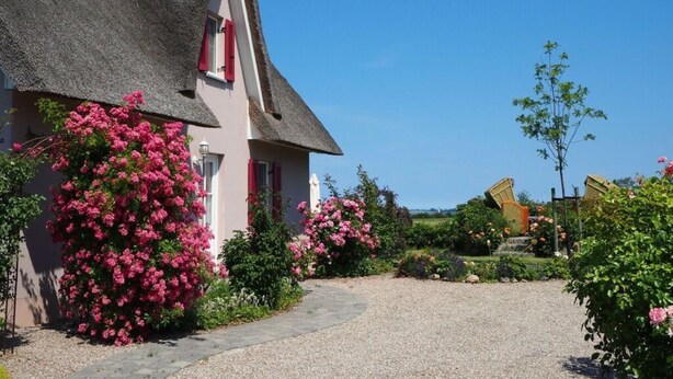A house with a thatched roof, pink flowers, and a gravel driveway.