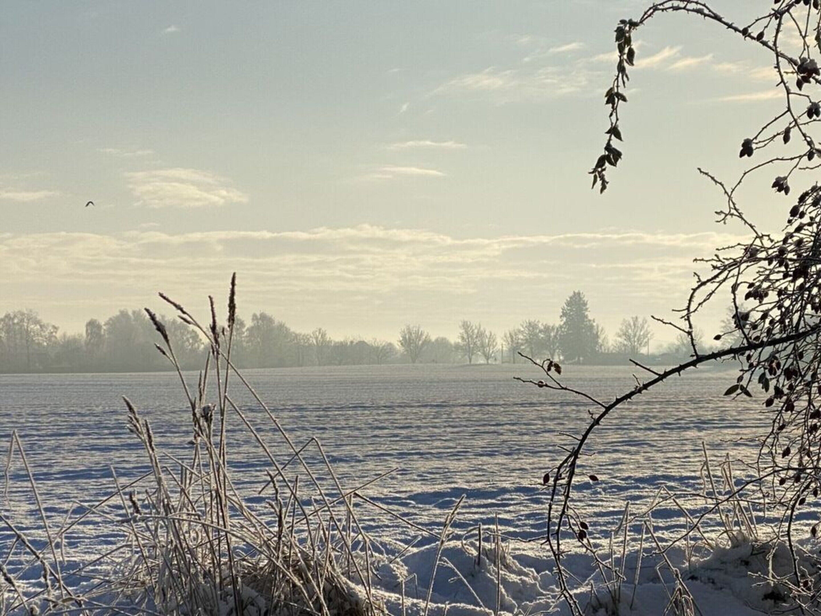 Eine verschneite Landschaft mit einer zugefrorenen Wasserfläche, kahlen Bäumen und einem klaren Himmel.
