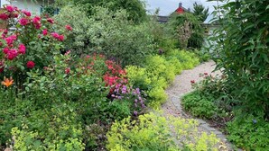 A garden with a variety of flowering plants and a stone pathway.