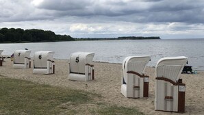 Beach chairs lined up on a sandy shore with a body of water and a forested island in the background.