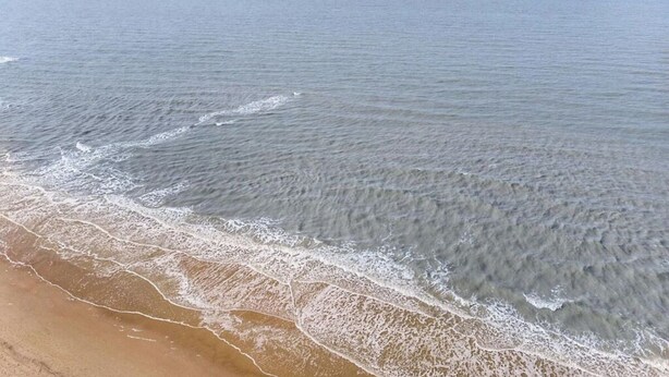 A beach with gentle waves and a clear sky. - Villa Right by the sea (Julianadorp)