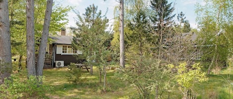 A rustic cabin surrounded by a variety of trees and a grassy area.