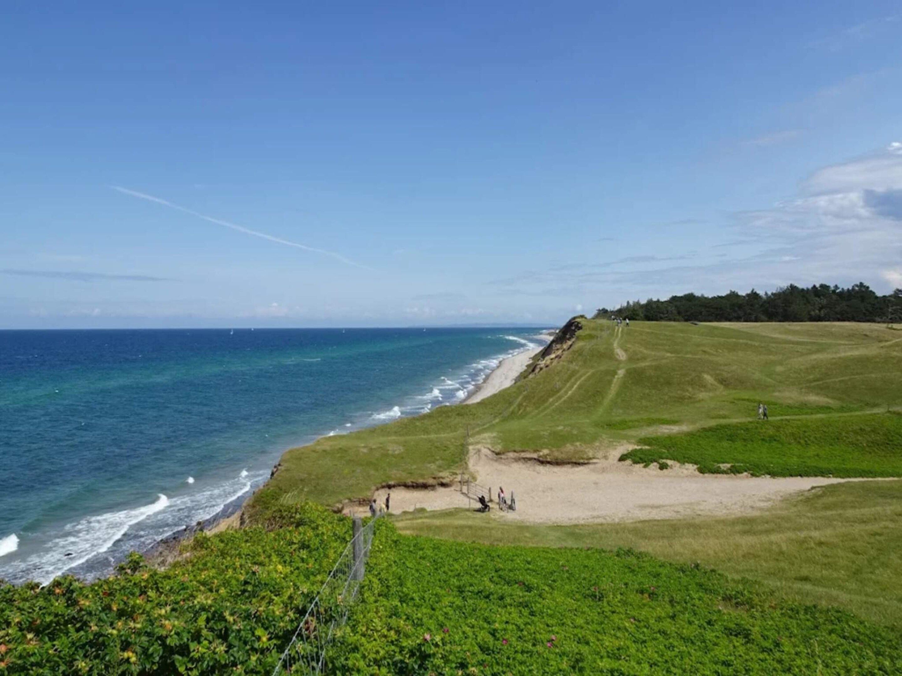 A coastal landscape with a grassy area, a sandy beach, and the ocean.