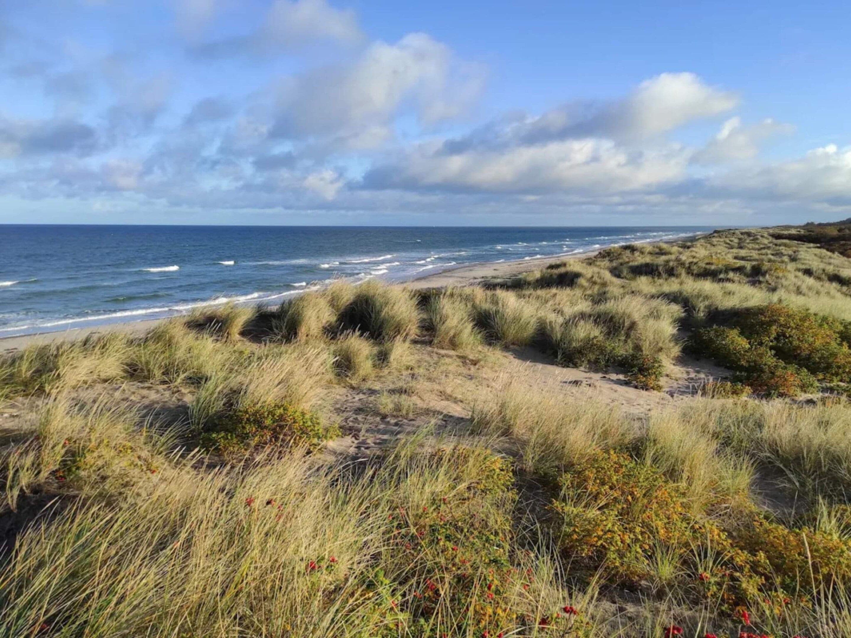 A coastal landscape with dunes, beach, and ocean.