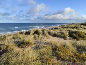 A coastal landscape with dunes, beach, and ocean. - 5 Person Holiday Home in Vejby (Vejby)