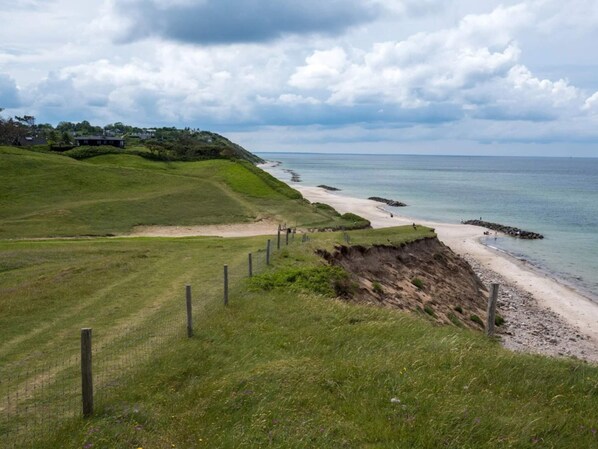 A coastal landscape with a grassy path, a sandy beach, and a body of water.
