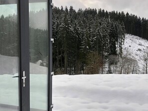 View from property - Modern Holiday Home With hot tub in Winterberg (Winterberg)
