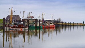 A calm harbor with several fishing boats docked, a house, and a clear sky.