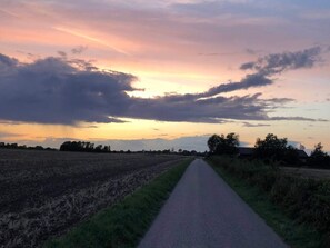 House | Miscellaneous