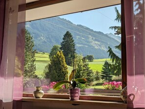 Vistas desde el alojamiento