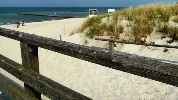 Una playa arenosa con una cerca de madera, un cartel y una duna cubierta de césped.