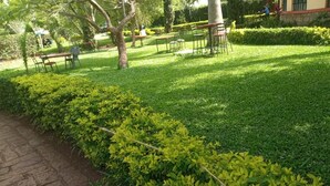 A well-maintained garden with neatly trimmed hedges and a stone pathway.