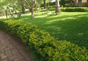 Jardín