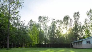 A grassy field with trees and a building in the background.